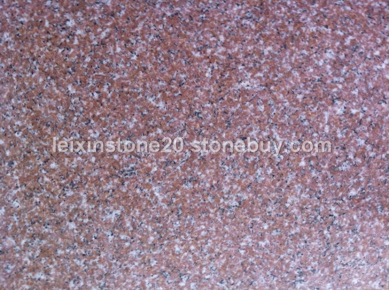 永定红细花光面