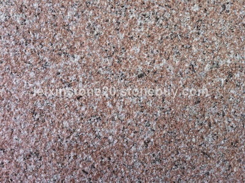 永定红细花荔枝面