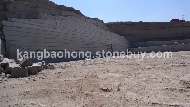 康保红智利红麻）