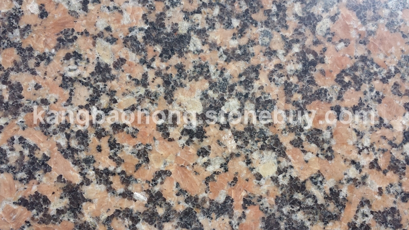 康保红（智利红麻）