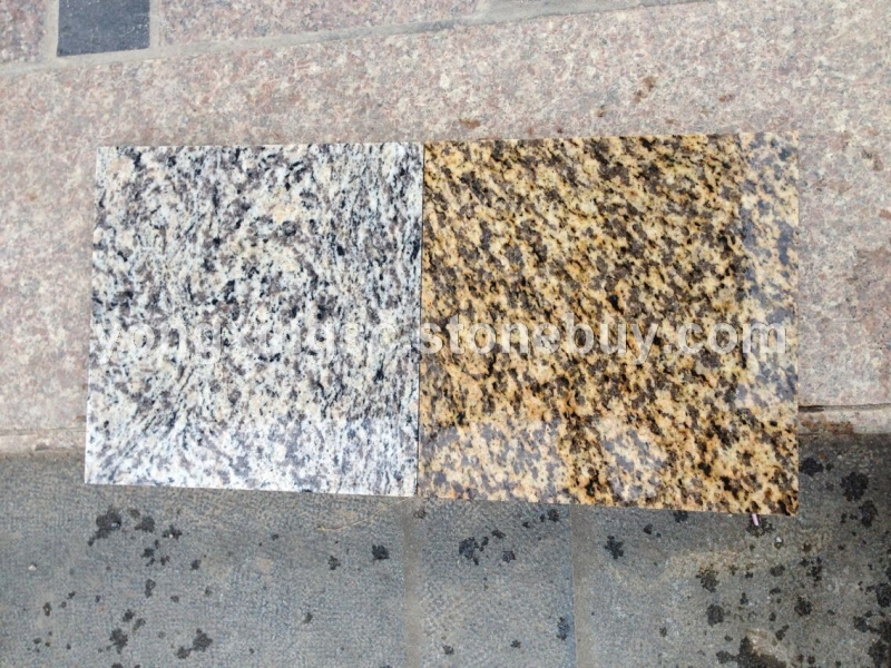 虎皮黄、虎皮白