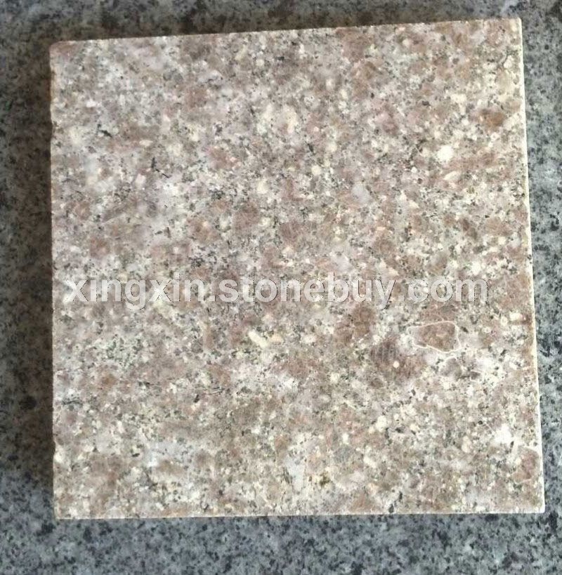 福建香槟黄宁德地区供应