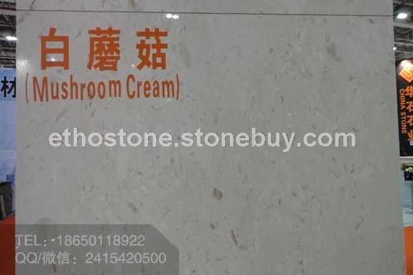白蘑菇大理石