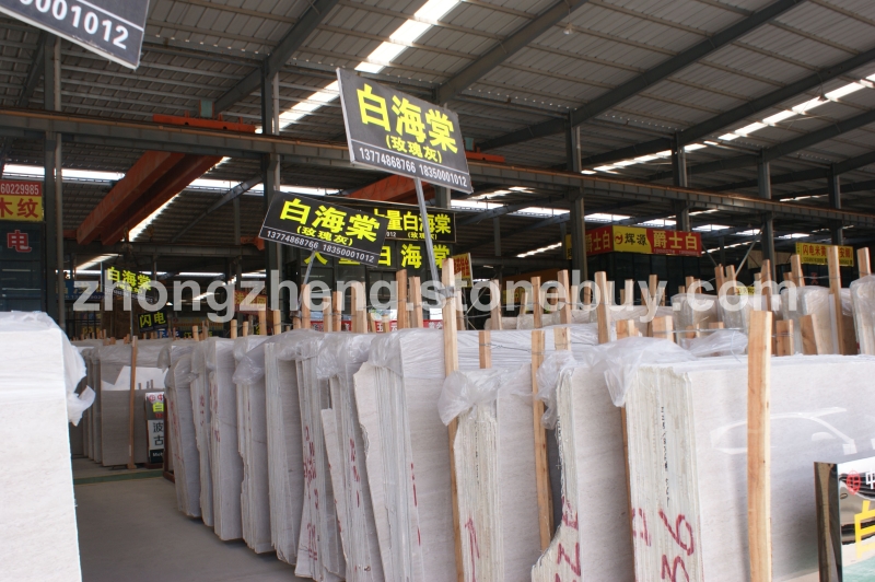 大量精品白海棠(玫瑰灰),价格实惠,欢迎来电:13774868766 黄先生