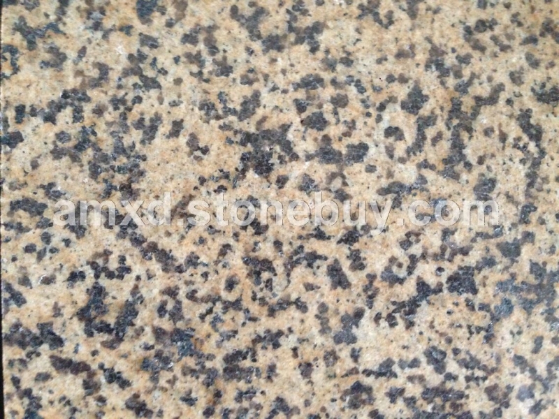 4号新矿诺尔金1