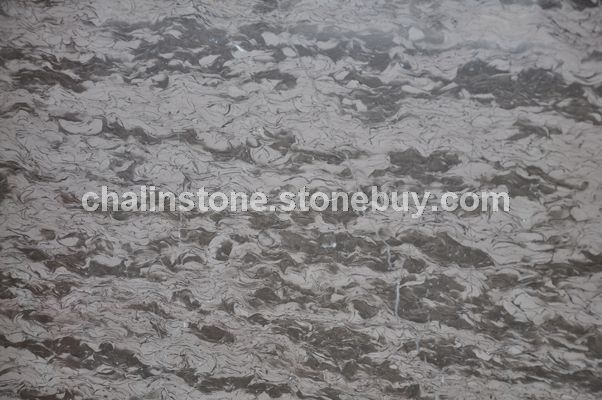 牡丹花 正切面1