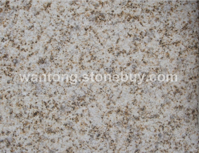 黄金麻荔枝面 18660260723王小姐