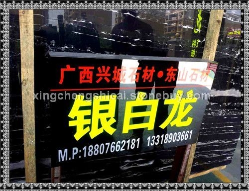 银白龙