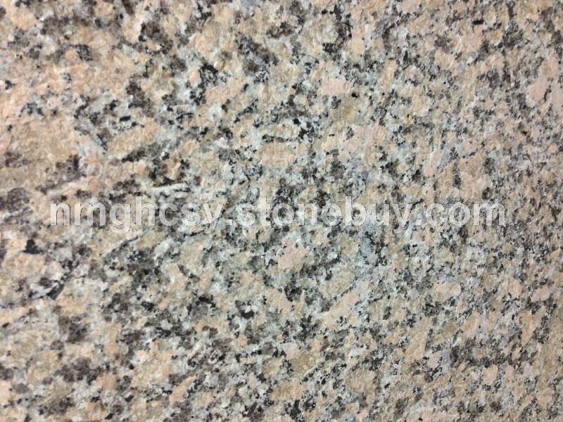 蒙娜金沙火燒面