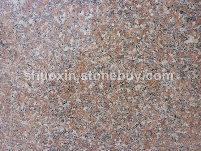 五莲红光板 小花