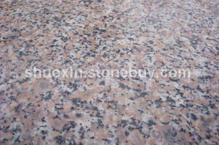 五莲花 光面 大花