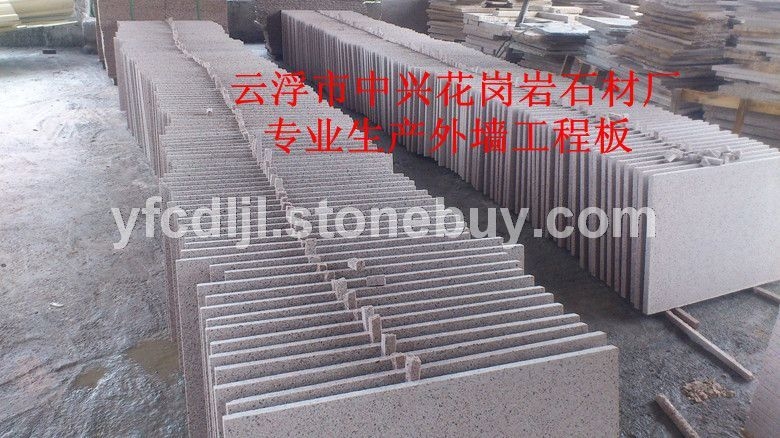 台山红荔枝面防护工程 (1)