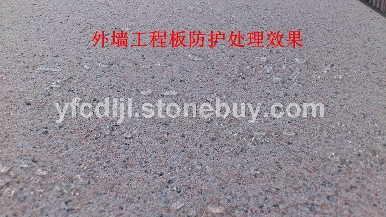 台山红荔枝面防护工程 (3)