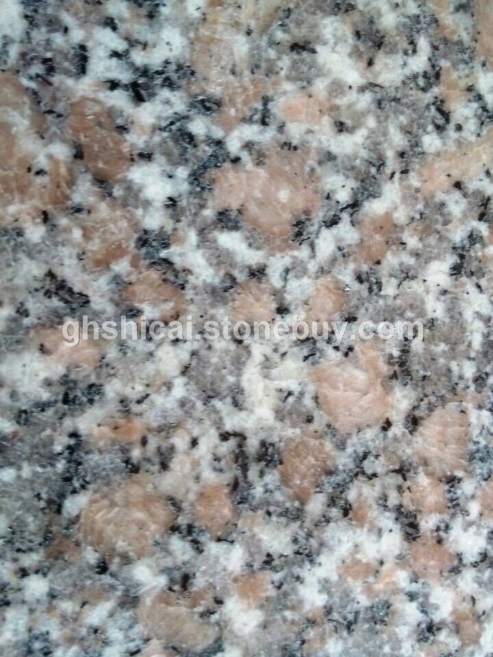 大白花 潮州红（粉红麻） 惠东红 芭拉白 白麻