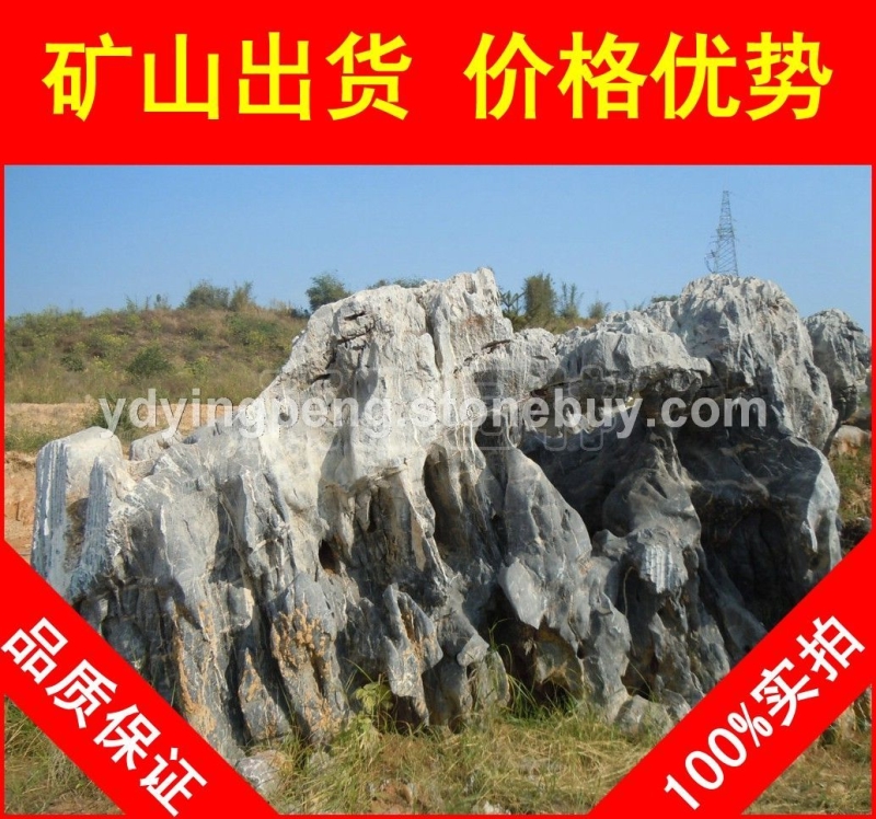 廣東大型太湖石招牌石，形態(tài)各異廣東太湖石，假山石廠家