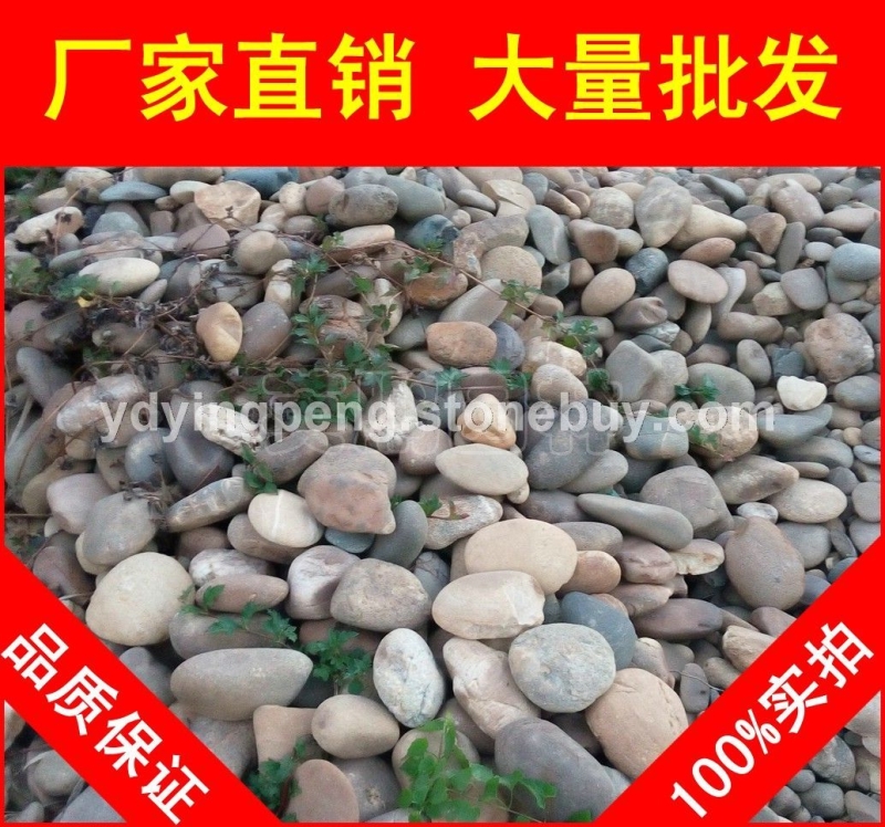 天然雜色鵝卵石，英德濾料過濾鵝卵石，大量現(xiàn)貨批發(fā)