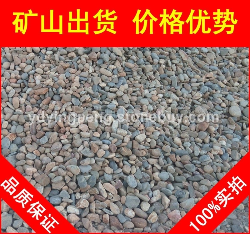 天然鵝卵石，廣州花基砌邊鵝卵石，大量現(xiàn)貨批發(fā)
