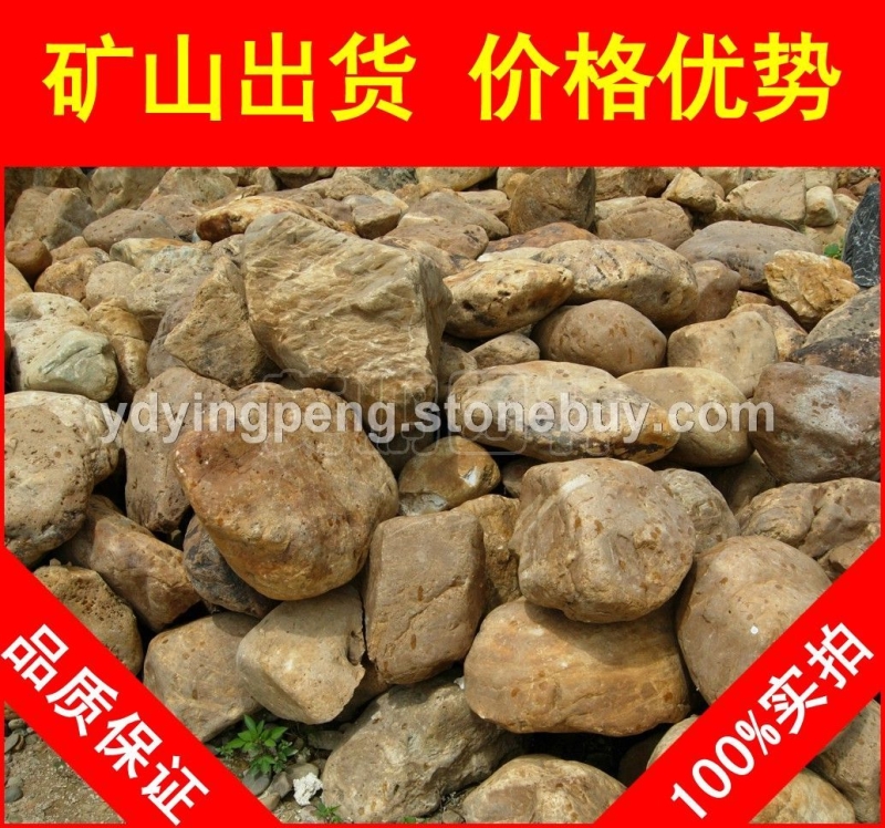 廣東英德黃臘石，湖岸水系黃蠟石，景觀石批發(fā)