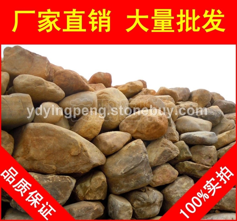 廣東英德黃臘石，，假山石廠家廣東黃蠟石，景觀石批發(fā)