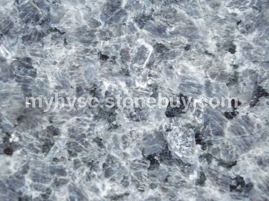 冰花兰（冰花蓝）大花