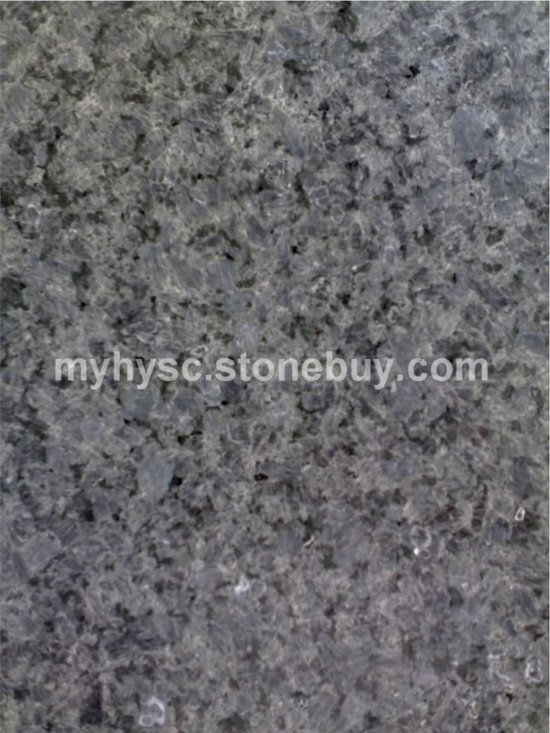 冰花兰（冰花蓝）1