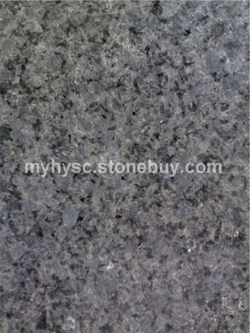 冰花兰（冰花蓝）