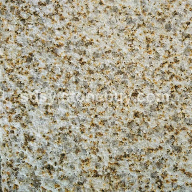 黃金麻1號中黃荔枝面