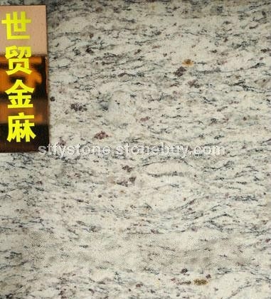 世贸金麻、凤尾银麻