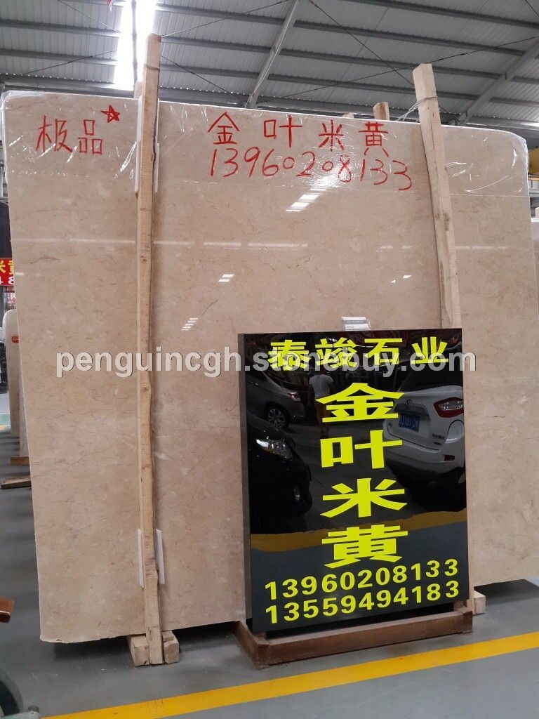 顶级 金叶米黄