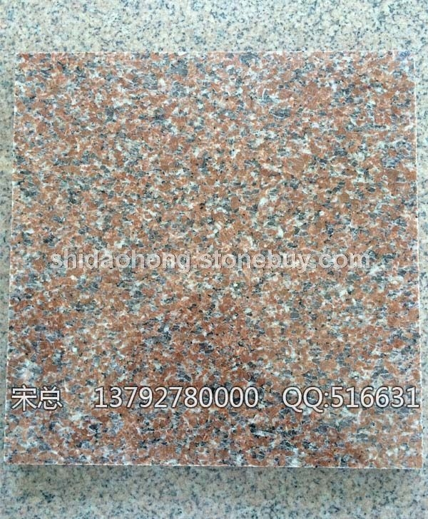 石島紅新8號 光面D