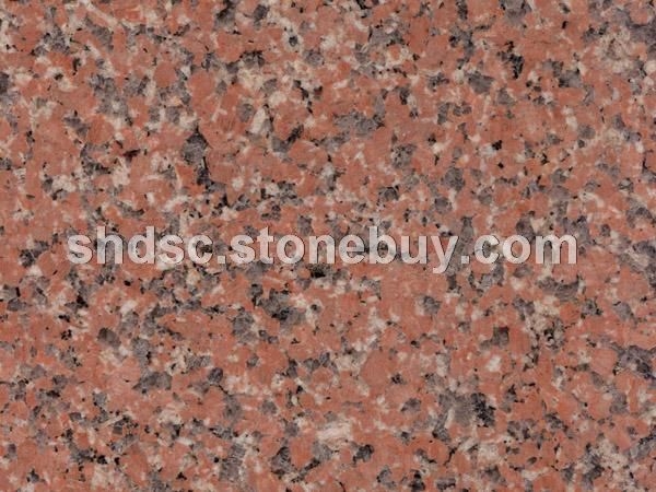 Shidao Red new8#石岛红新8#