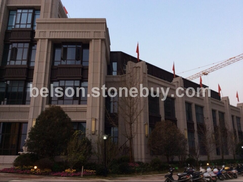 沙漠棕荔枝面干挂案例