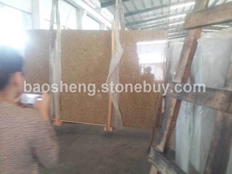 欧洲土豪金 (6)