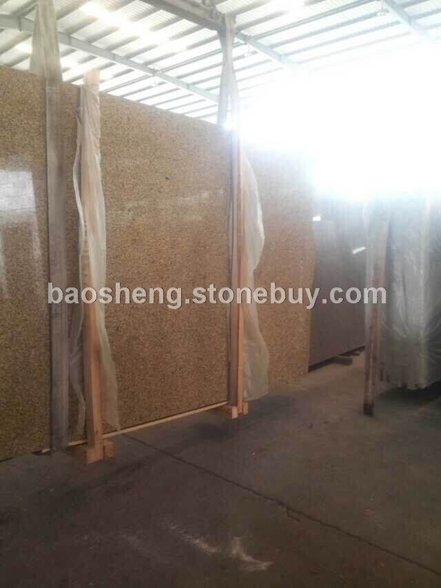 欧洲土豪金 (8)