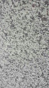 大白花G439