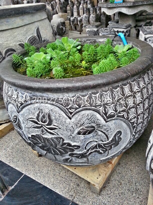 鱼缸
