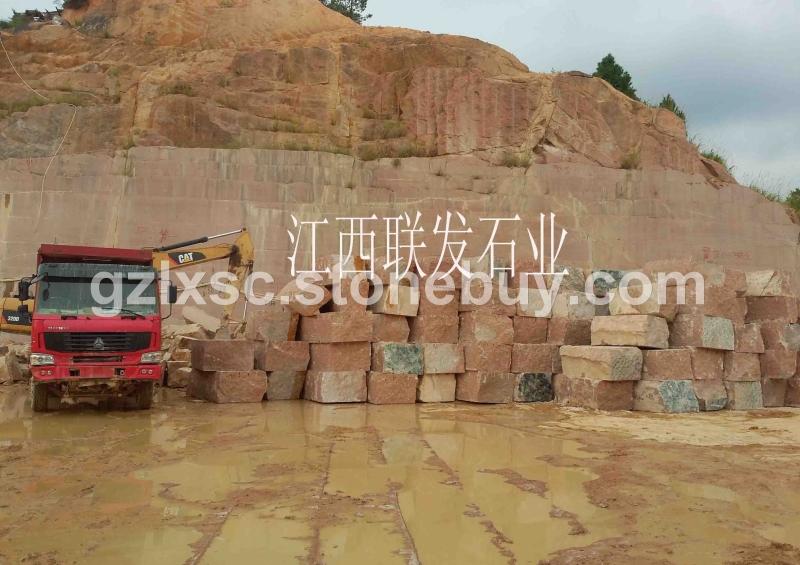 光板映山红/代代红/光泽红
