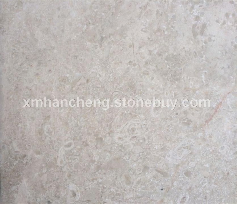 白玫瑰