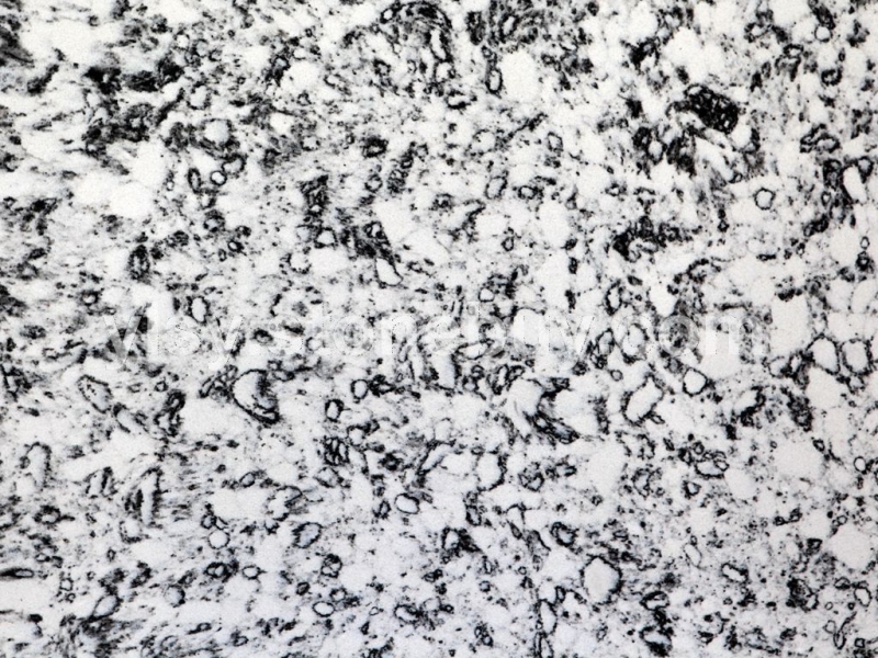 A102瑞雪纷飞