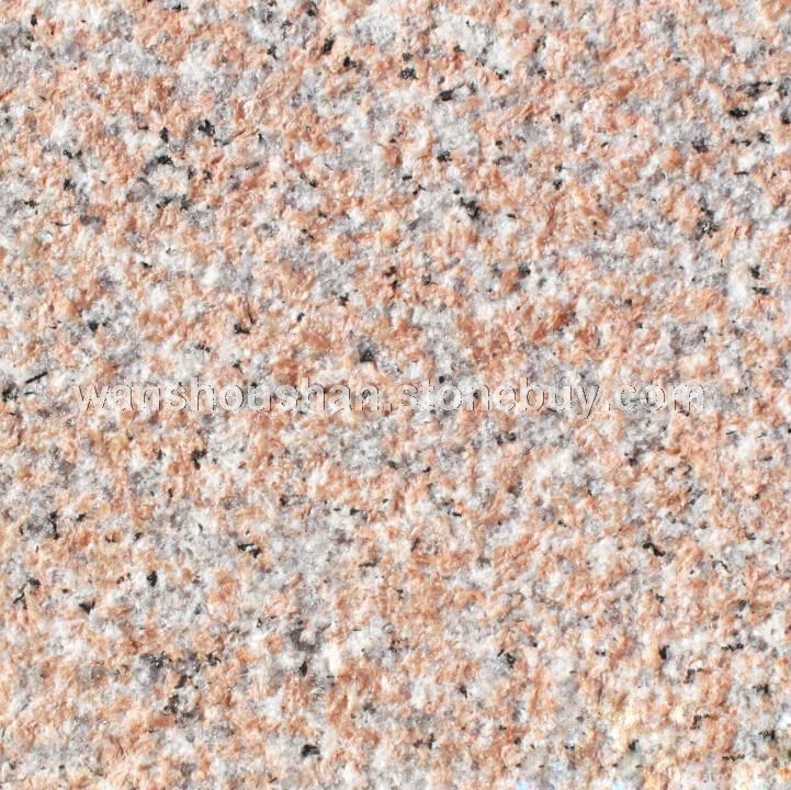 永定红-荔枝面