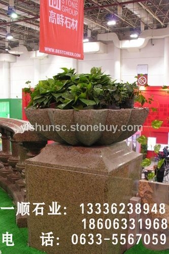 石花盆