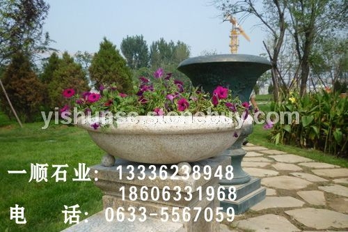 石花盆6