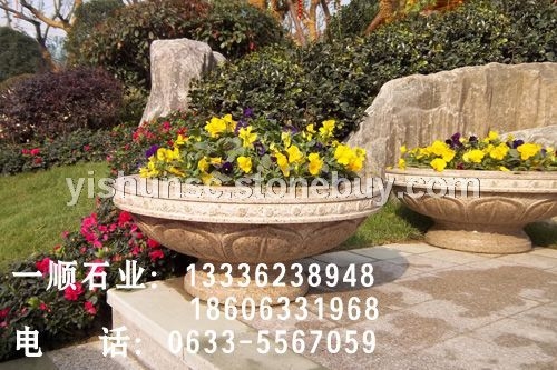 石花盆7