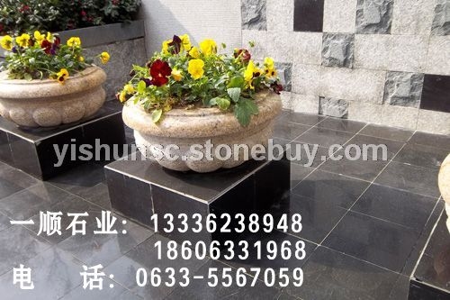 石花盆8