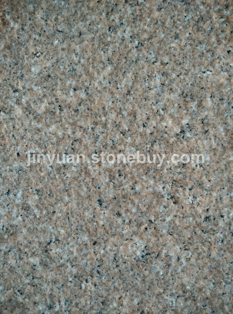 虾红G681火烧
