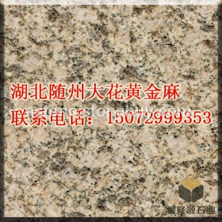 湖北随州大花黄金麻卡基诺金大花黄金钻紫点金麻金钻麻光面中黄