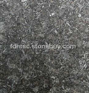 福鼎黑G684火烧面