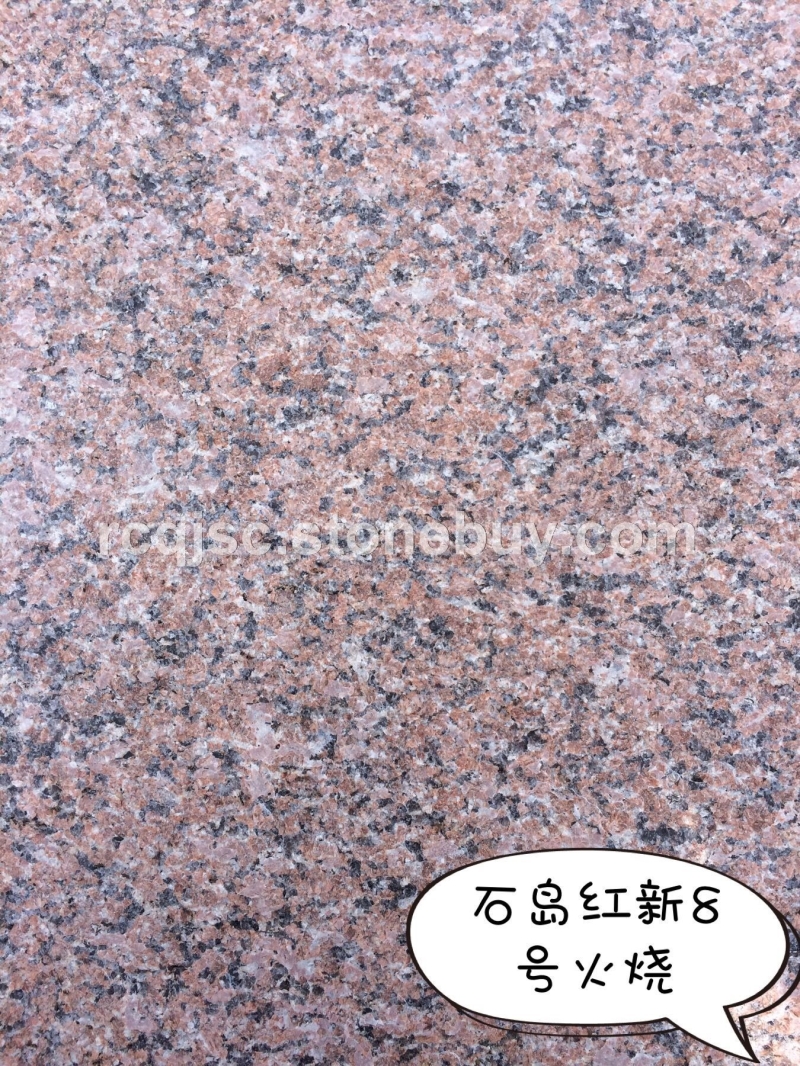 石岛红新8号火烧
