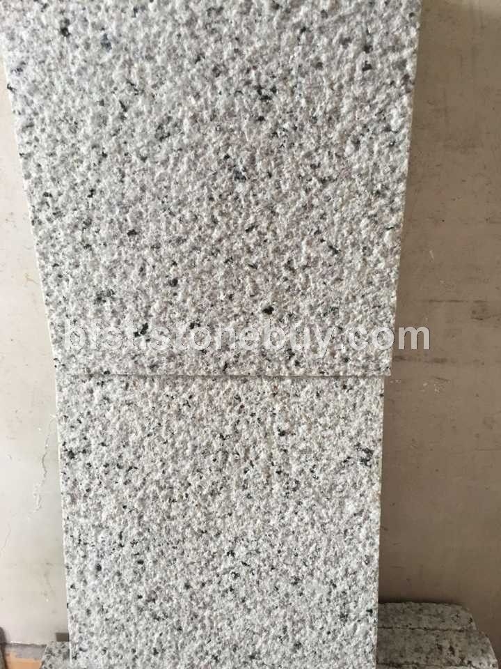 G655A荔枝面03
