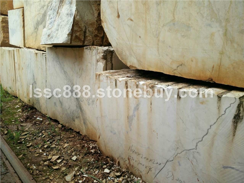 丹青网纹 (5)
